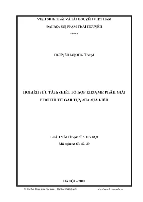 Nghiên cứu về Enzyme Protease và Ứng dụng trong Giải