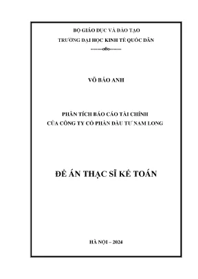 Phân Tích Báo Cáo Tài Chính Công Ty Cổ Phần Đầu Tư Nam Long