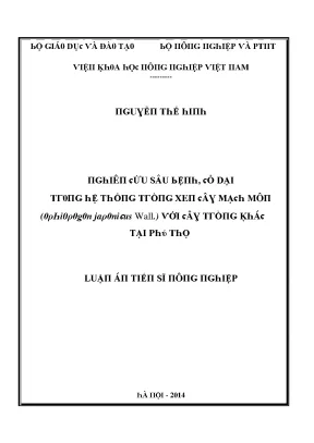 Khám Phá Tác Động Của Mô Hình Giáo Dục Đến Sinh Viên Tại
