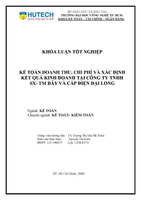 Phân Tích Doanh Thu và Chi Phí tại Công Ty TNHH SX-TM