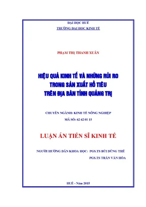 Hiệu Quả Kinh Tế và Rủi Ro Trong Sản Xuất Hồ Tiêu Tại