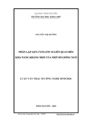 Nghiên Cứu Gen Cystatin 10 Tăng Khả Năng Kháng Mọt Ở