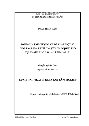 Giải pháp phát triển đô thị tại thành phố Lào Cai