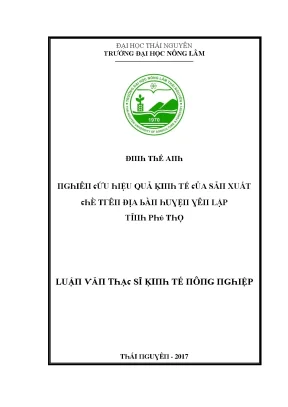Hiệu Quả Kinh Tế Của Sản Xuất Hè Tại Địa Bàn Huyện Yên