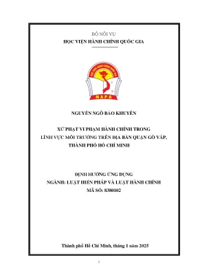 Xử Phạt Vi Phạm Hành Chính Trong Lĩnh Vực Môi Trường Tại
