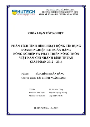 Phân Tích Hoạt Động Tín Dụng Doanh Nghiệp Tại Agribank