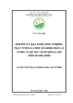 Nghiên cứu về giống ngô lai tại Trường Đại học Nông Lâm
