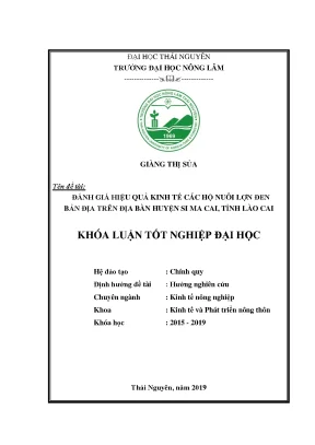 Đánh Giá Hiệu Quả Kinh Tế Nuôi Lợn Đen Bản Địa Tại Si Ma Cai