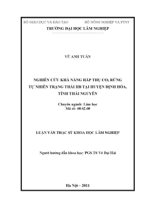 Nghiên Cứu Khả Năng Hấp Thụ CO2 Từ Rừng Tự Nhiên Trạng