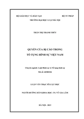 Quyền của Bị Cáo trong Tố Tụng Hình Sự: Thực Trạng và
