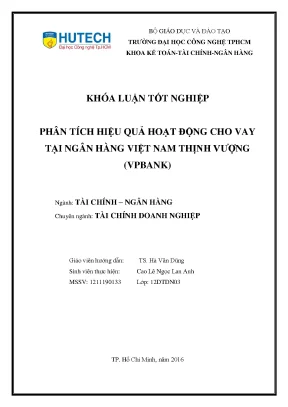 Phân Tích Hiệu Quả Hoạt Động Cho Vay Tại Ngân Hàng Việt