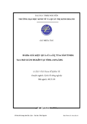 Đánh giá hiệu quả cây trúc sào trong xóa đói giảm nghèo