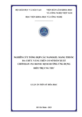 Nghiên Cứu Nanogel Mang Thuốc Đa Chức Năng Từ Chitosan