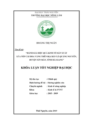 Đánh Giá Hiệu Quả Kinh Tế Sản Xuất Lúa Nếp Cái Hoa Vàng