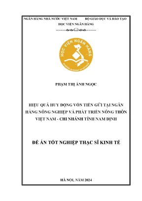 Nâng Cao Hiệu Quả Huy Động Vốn Tiền Gửi Tại Agribank Nam
