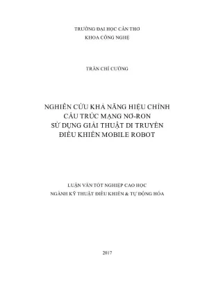 Nghiên Cứu Hiệu Chỉnh Cấu Trúc Mạng Nơ-Ron Bằng Giải 