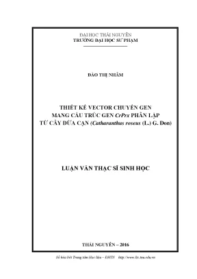 Thiết Kế Vector Chuyển Gen CrPrx Từ Cây Dừa Cạn