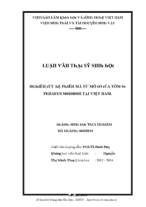 Nghiên cứu về Tôm Súng tại Việt Nam: Đặc điểm và Ứng dụng