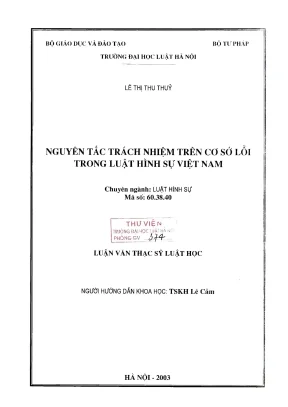 Nguyên Tắc Trách Nhiệm Hình Sự Trên Cơ Sở Lỗi Tại Việt Nam