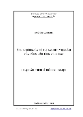 Nghiên cứu về đô thị hóa và phát triển bền vững tại Thái
