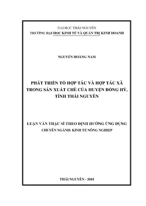 Phát Triển Hợp Tác Xã Trong Sản Xuất Chè Tại Huyện Đồng