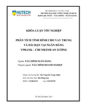 Phân Tích Tình Hình Cho Vay Trung và Dài Hạn Tại Ngân