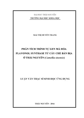 Nghiên Cứu Trình Tự Gen Flavonol Synthase Từ Cây Chè Bản