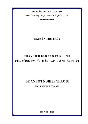 Phân Tích Báo Cáo Tài Chính Công Ty Cổ Phần Tập Đoàn Hòa