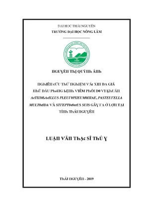 Nghiên cứu về vi khuẩn gây bệnh viêm phổi ở lợn tại Thái 