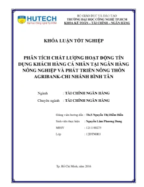 Phân Tích Chất Lượng Hoạt Động Tín Dụng Khách Hàng Cá
