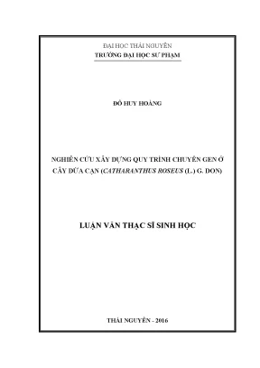 Nghiên Cứu Quy Trình Chuyển Gen Ở Cây Dừa Cạn