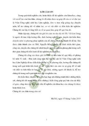 Lời Cảm Ơn Trong Nghiên Cứu Khoa Học: Sự Đóng Góp và Hỗ Trợ