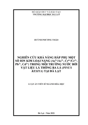 Nghiên Cứu Khả Năng Hấp Phụ Ion Kim Loại Nặng Trong Nước 