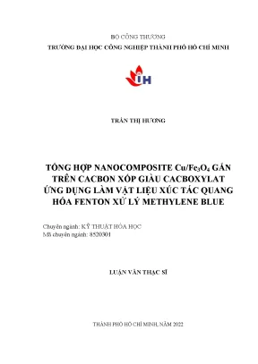 Tổng hợp Nanocomposite Cu/Fe3O4 Gắn Trên Carbon Xốp: Ứng