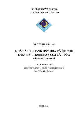 Khả Năng Kháng Oxy Hóa và Ức Chế Enzyme Tyrosinase của