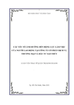 Các yếu tố ảnh hưởng đến động lực làm việc của người lao động tại công ty cổ phần dịch vụ thương mại và đầu tư sao thủy