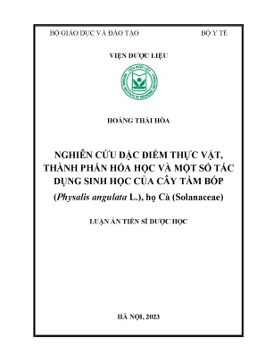 Nghiên Cứu Đặc Điểm và Tác Dụng Sinh Học của Cây Tầm Bóp 