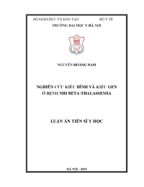 Nghiên cứu kiểu hình và kiểu gen bệnh nhi beta thalassemia