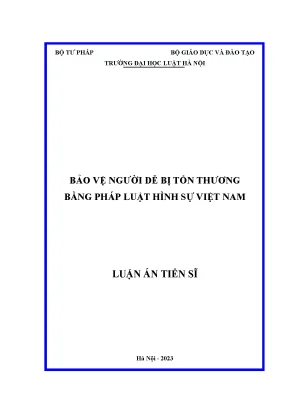 Bảo vệ người dễ bị tổn thương qua pháp luật hình sự Việt Nam