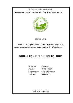 Đánh Giá Đa Dạng Di Truyền Giống Dứa Thơm Tại Miền Núi