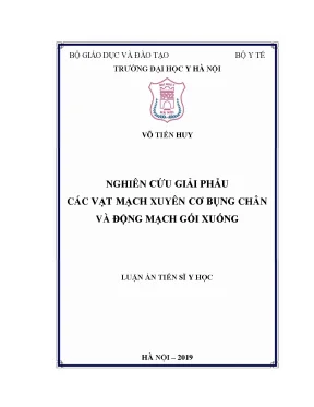 Nghiên Cứu Giải Phẫu Vạt Mạch Xuyên Cơ Bụng Chân và Động 
