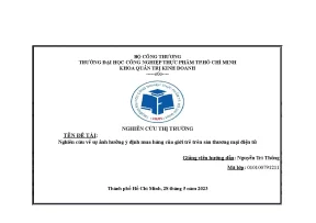 Nghiên Cứu Ảnh Hưởng Của Thương Mại Điện Tử Đến Ý Định 