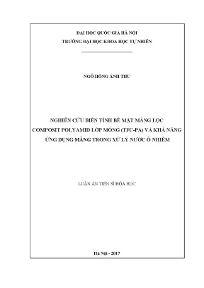 Nâng cao hiệu suất màng lọc composit polyamid TFC-PA 