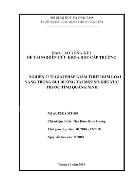 Giải Pháp Giảm Thiểu Kim Loại Nặng Trong Bụi Đường Tại