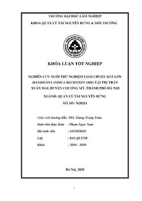 Nghiên Cứu Nuôi Thử Nghiệm Chuột Đất Lớn Tại Xuân Mai,