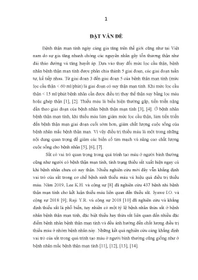Nghiên cứu vai trò của sắt trong điều trị thiếu máu ở