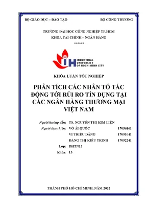 Phân Tích Rủi Ro Tín Dụng Tại Ngân Hàng Thương Mại Việt Nam