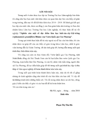Nghiên cứu đặc điểm lâm học cây Gội trắng tại Vườn Quốc