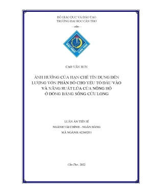 Ảnh Hưởng Của Hạn Chế Tín Dụng Đến Năng Suất Lúa Của