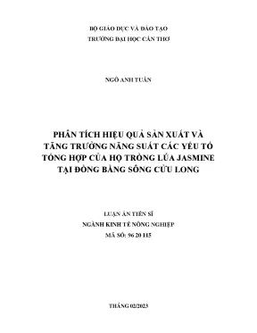 Phân Tích Hiệu Quả Sản Xuất Lúa Jasmine Tại Đồng Bằng